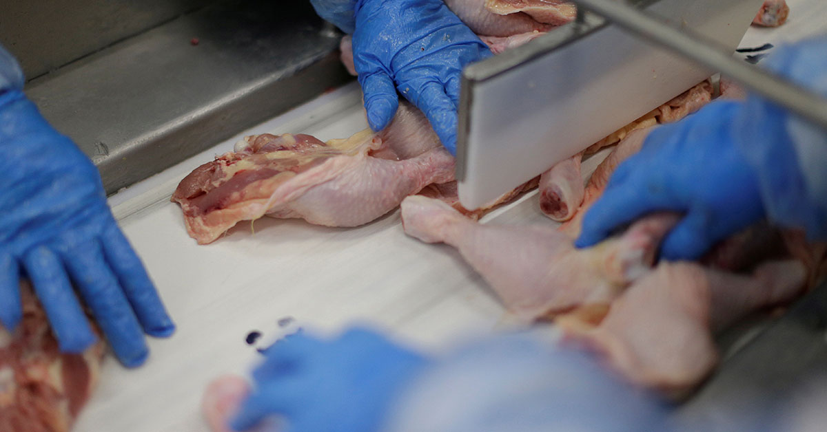 Gripe aviária: dois países reduzem a restrição à carne de frango brasileira