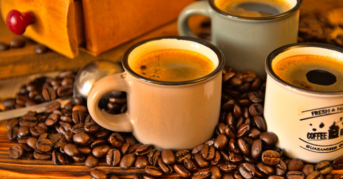 Cafeicultura regenerativa é tendência