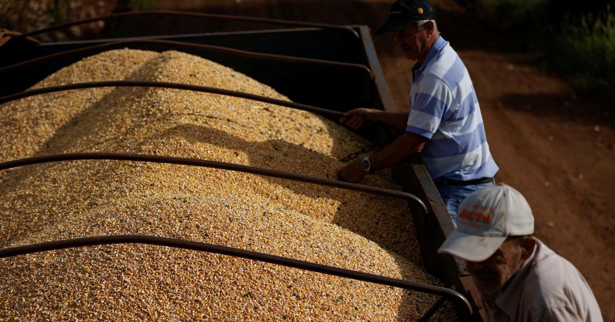 Brasil perderá neste ano R$ 30,5 bi com déficit de armazenagem de grãos