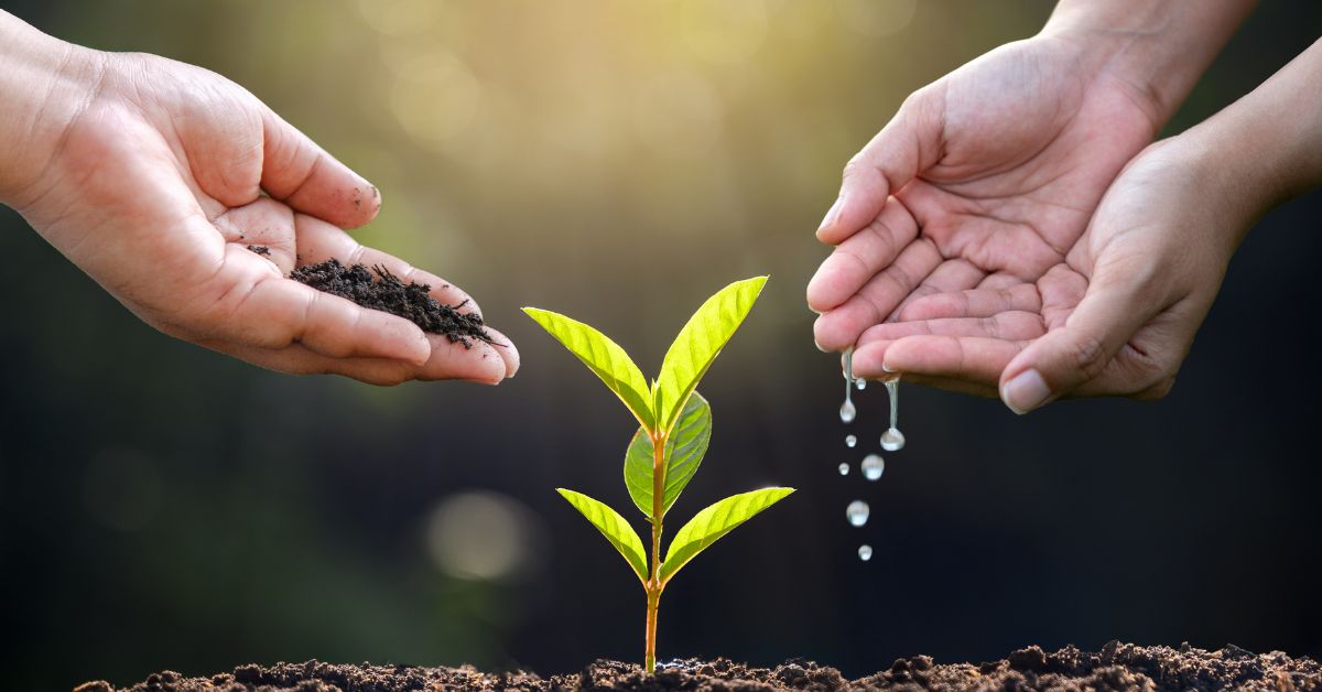 Licença ambiental: equilíbrio ideal 