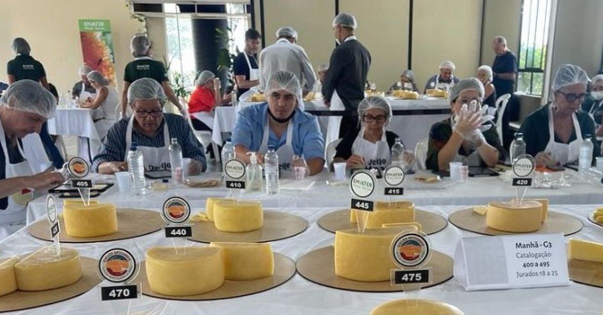 Concursos regionais começam hoje
