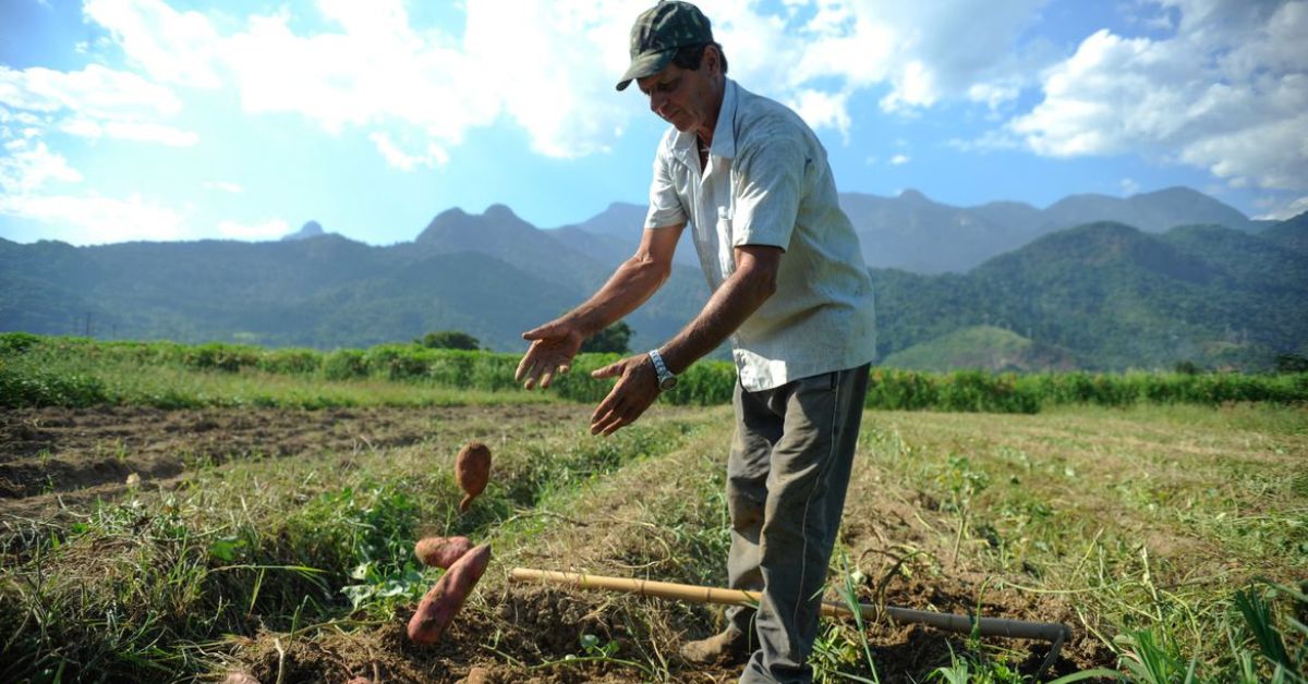 Em que situações o produtor rural, o empresário pode utilizar dados de terceiros? | Crédito: Tomaz Silva/Agência Brasil