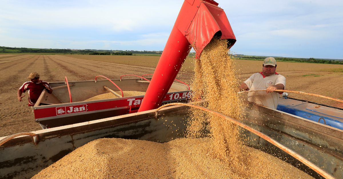Após mínima de 3 anos, preço da soja reage e registra alta semanal no Brasil, aponta Cepea