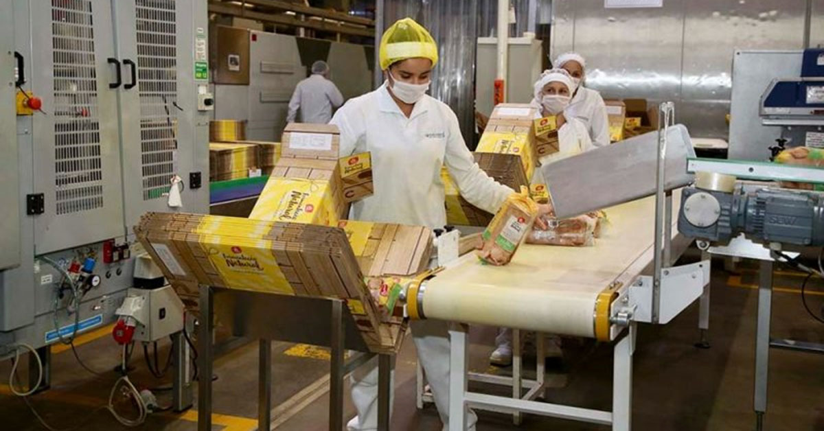 Camanducaia deve abrigar nova fábrica da Bauducco