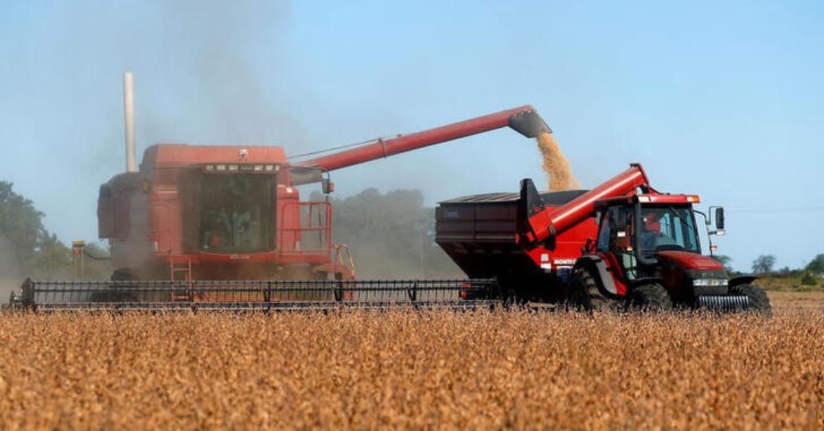 Colheitadeira em campo de soja em Chivilcoy, nos arredores de Buenos Aires, Argentina | Crédito: Reuters