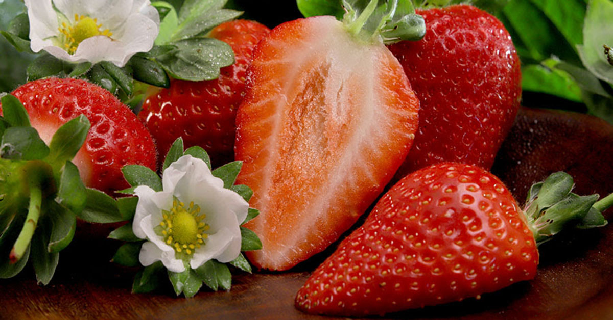 Produtores de Pouso Alegre estimam 173 mil toneladas de morango na região em 2024