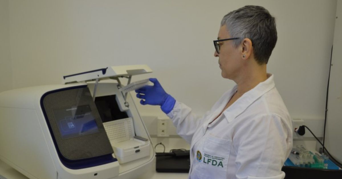 Laboratório obteve resultado satisfatório em rodada internacional de Ensaios de Proficiência (EP) para a detecção do vírus da influenza aviária | Crédito: Mapa