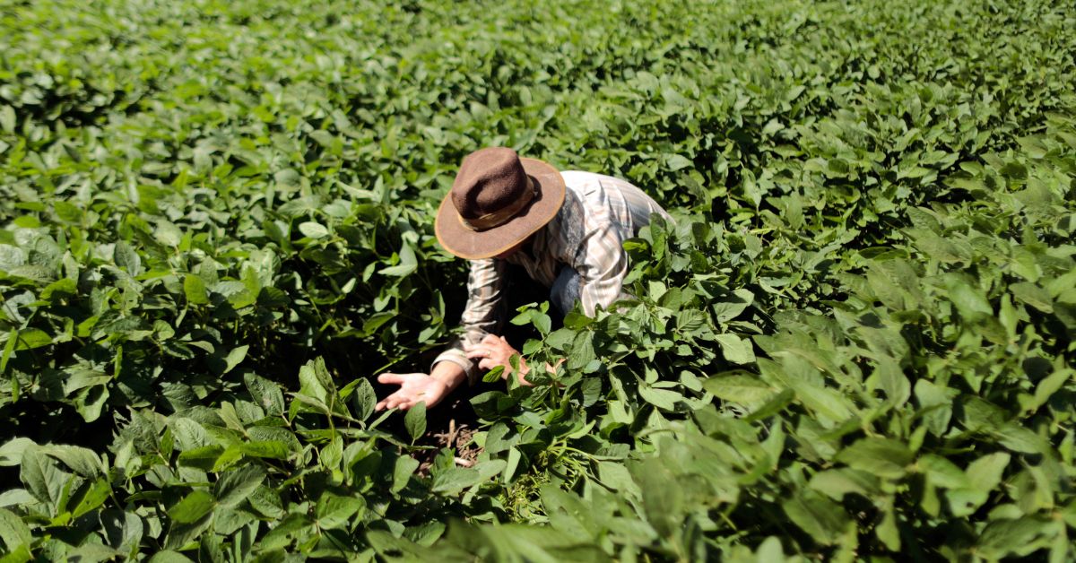 Agro alavanca PIB e ajuda a retirar economia de Minas de recessão técnica