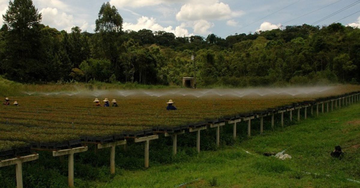 Produtores rurais devem ficar atentos à captação de recursos hídricos no Norte
