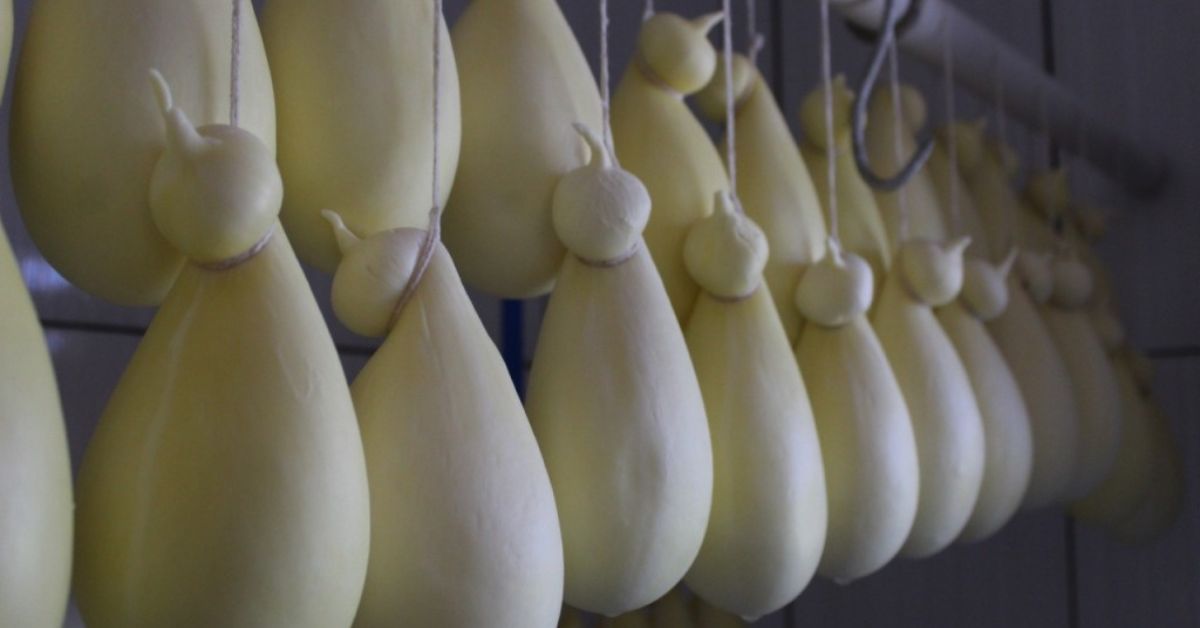 Projeto conduzido por Epamig e Emater-MG pode embasar a regulamentação de Queijo Cabacinha
