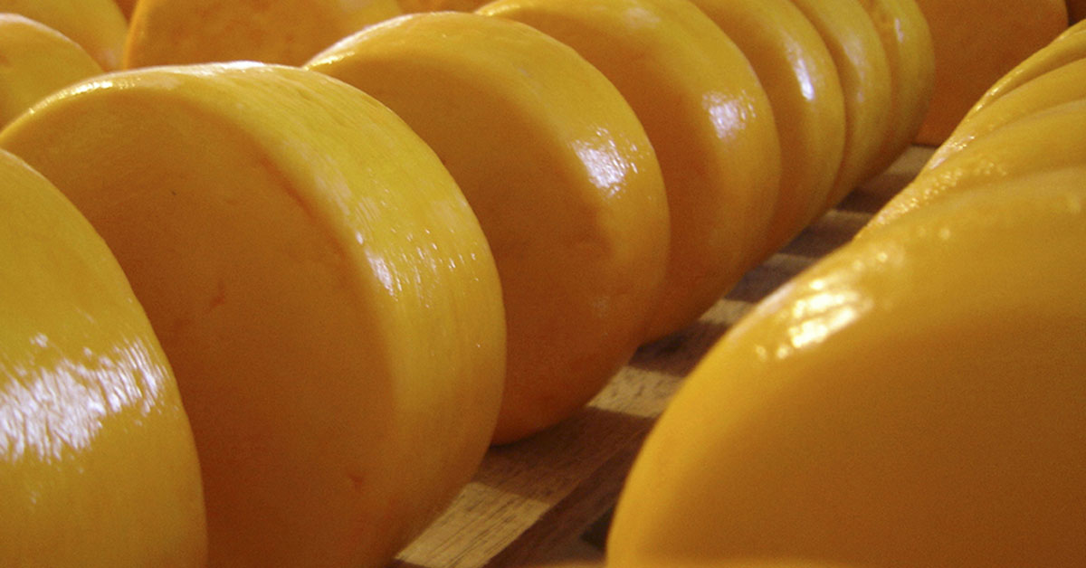 Festival valoriza o queijo artesanal feito em Minas