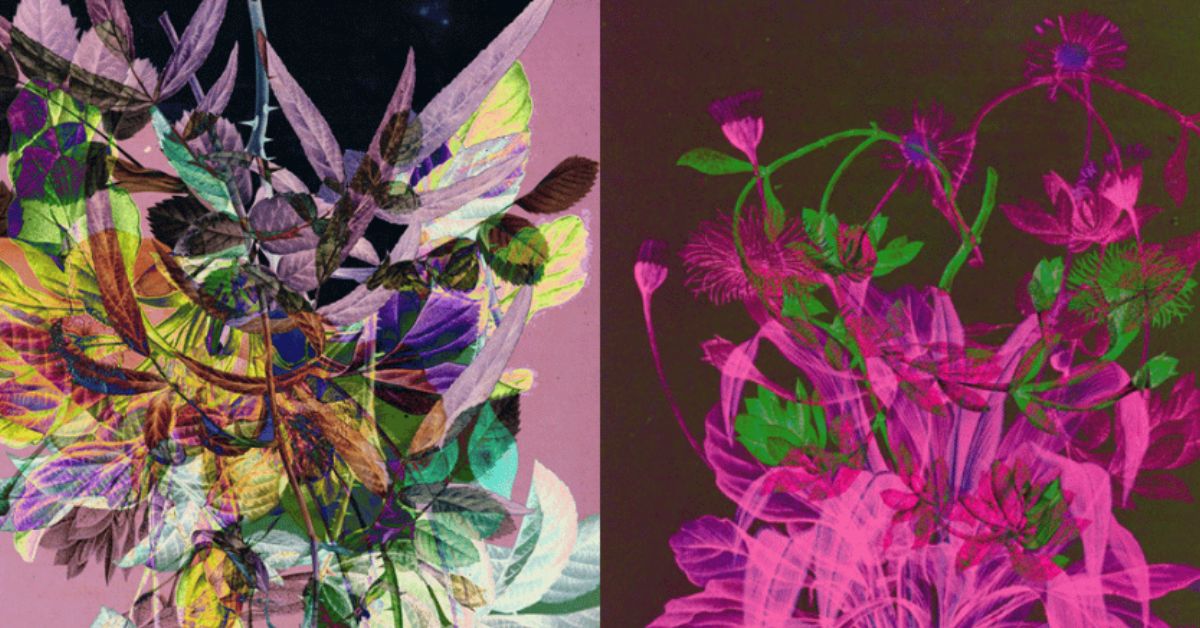 Exposição retrata plantas e animais