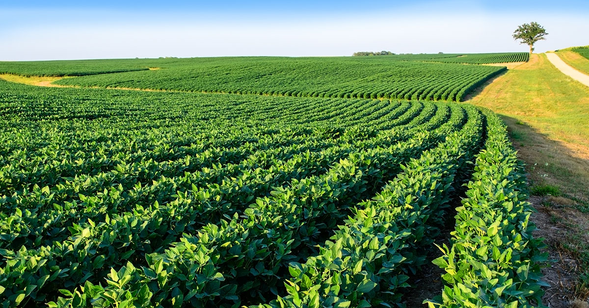 Desembolso em crédito rural cresce 20% para Minas