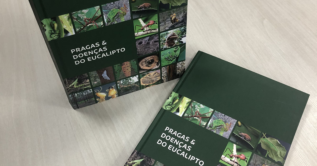 Livro reúne informações para identificação de doenças do eucalipto