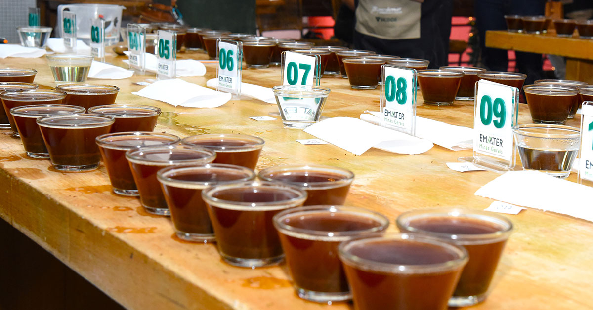 Concurso Qualidade dos Cafés abre inscrições