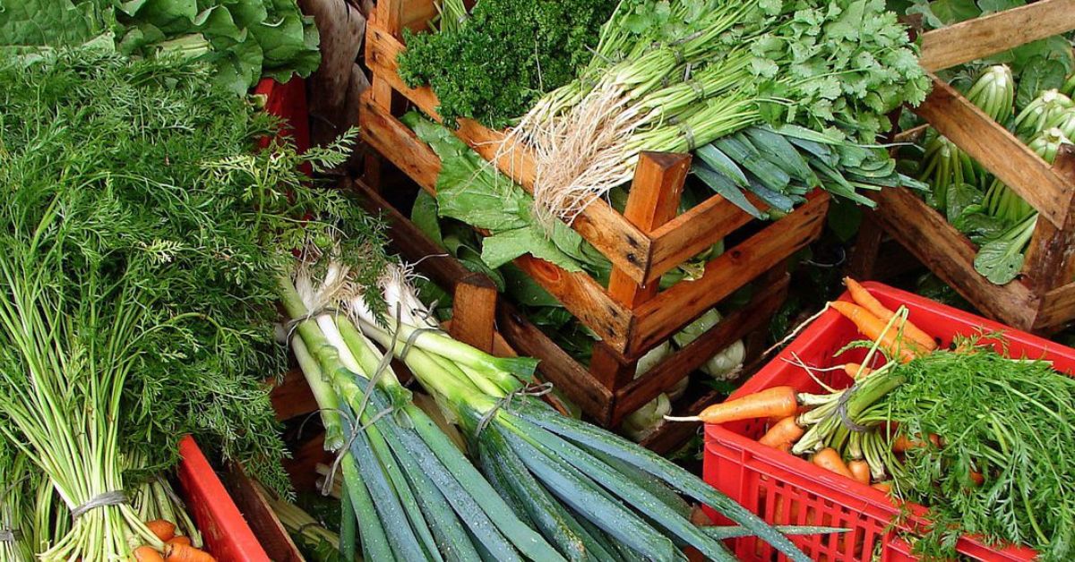 Câmara aprova recriação de Programa de Aquisição de Alimentos