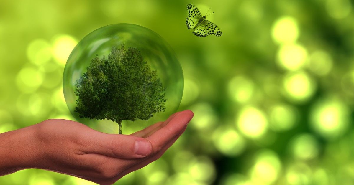 Confira oportunidades em torno da sustentabilidade corporativa