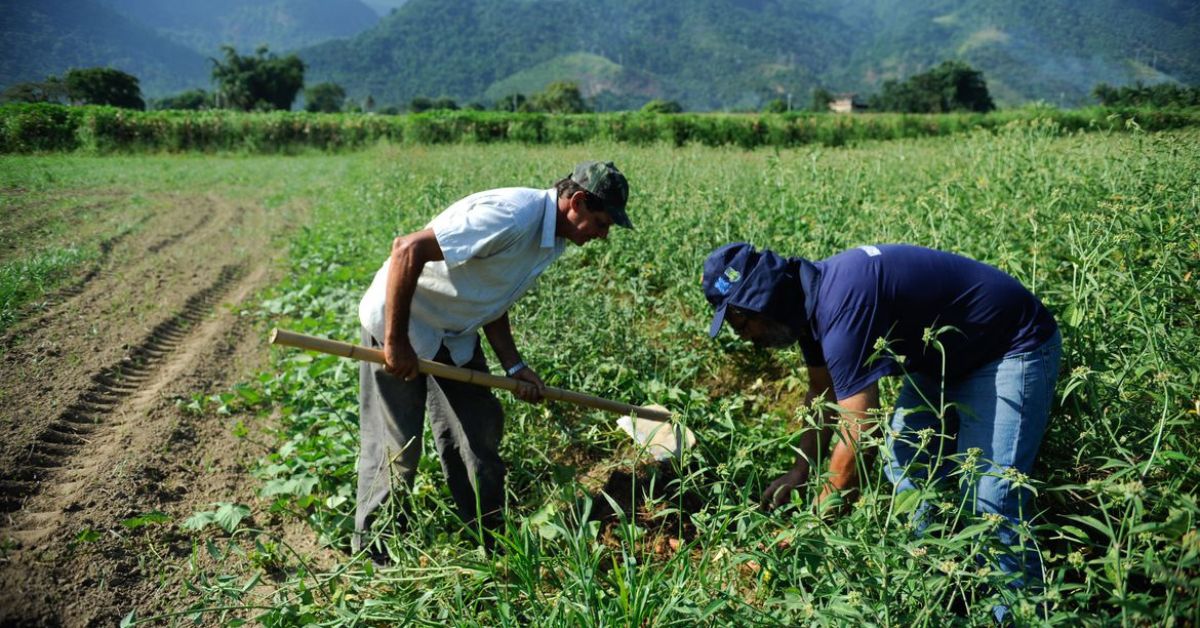 Agricultura familiar é 8ª maior produtora de alimentos do mundo