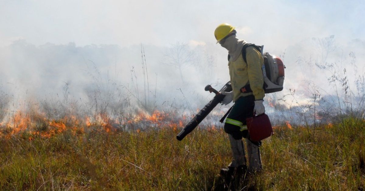 Delegado da PF diz que há indícios de ação coordenada em incêndios