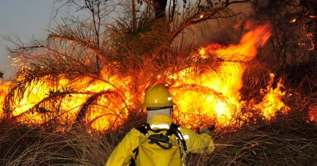Queimadas são gritos da natureza por mudanças