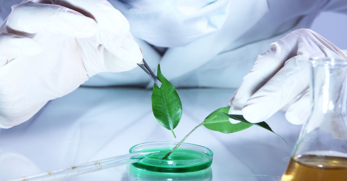 Nova Lima aposta em saúde e biotecnologia para reduzir dependência da mineração