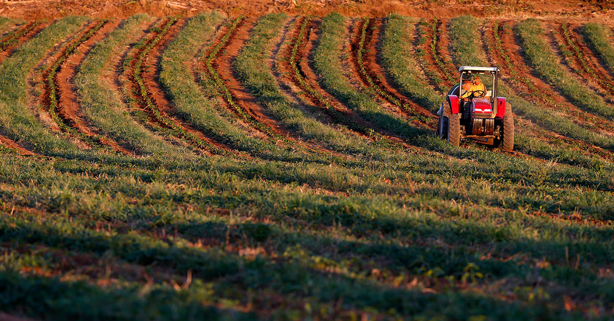 Impacto do Plano Safra no agronegócio