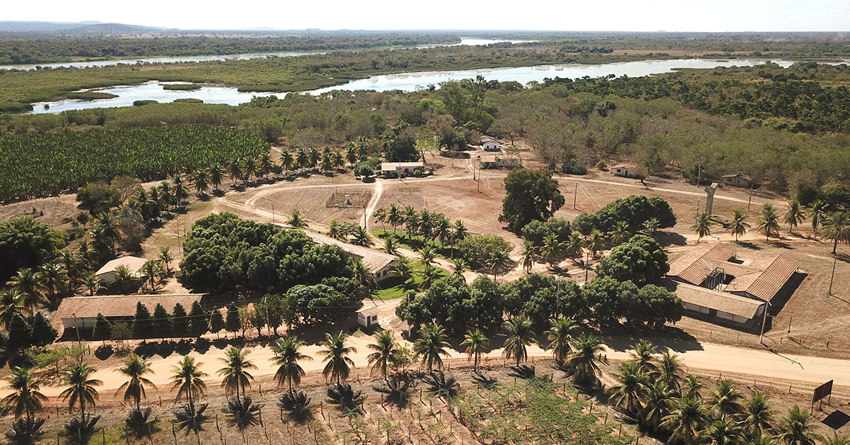 Minas Gerais terá projeto inovador de energia agrovoltaica