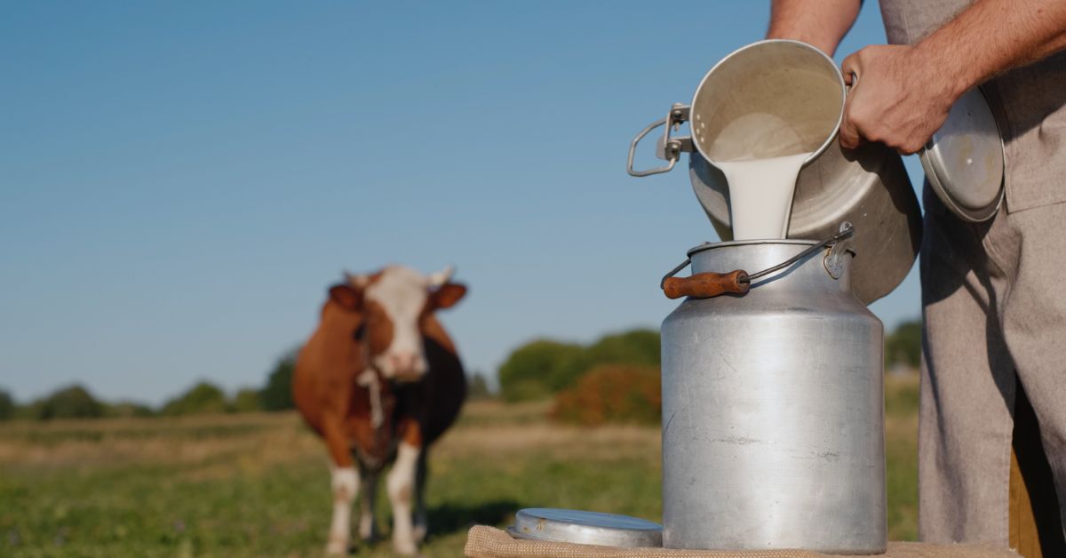 Leite cai mais de 35% no campo e diminui custo da cesta básica