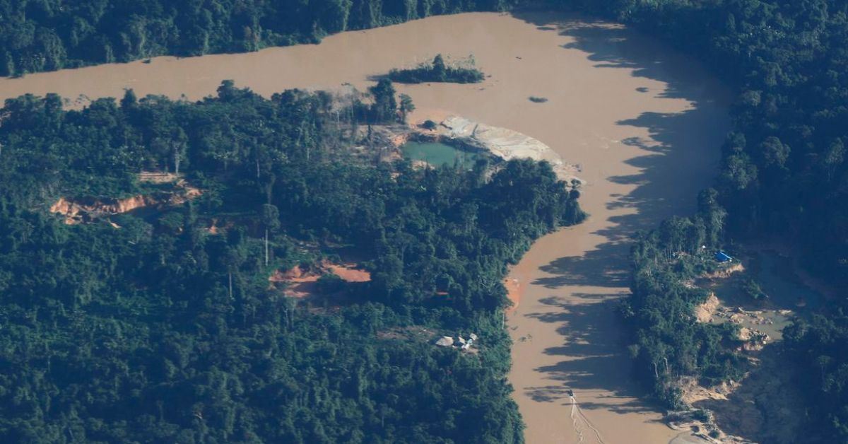 Banco Mundial emite US$ 225 mi em título vinculado ao reflorestamento da Amazônia