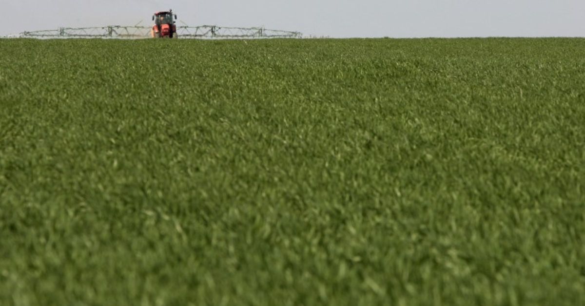 Entregas de fertilizantes no Brasil se recuperam no ano