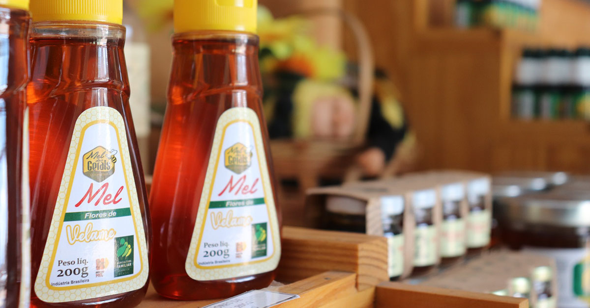 Mel do Norte de Minas é exportado para a Bélgica 