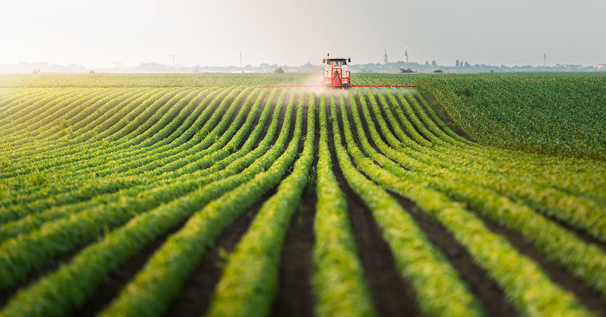 Unaí é o município mais rico de Minas no agronegócio