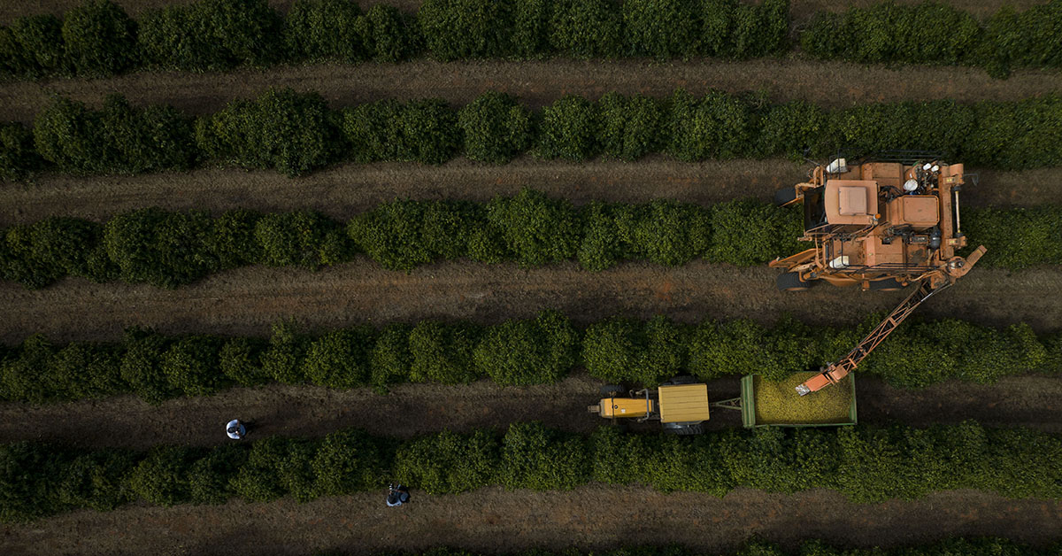 Puxado pelo agro, PIB de Minas cresce 4,4% no segundo trimestre