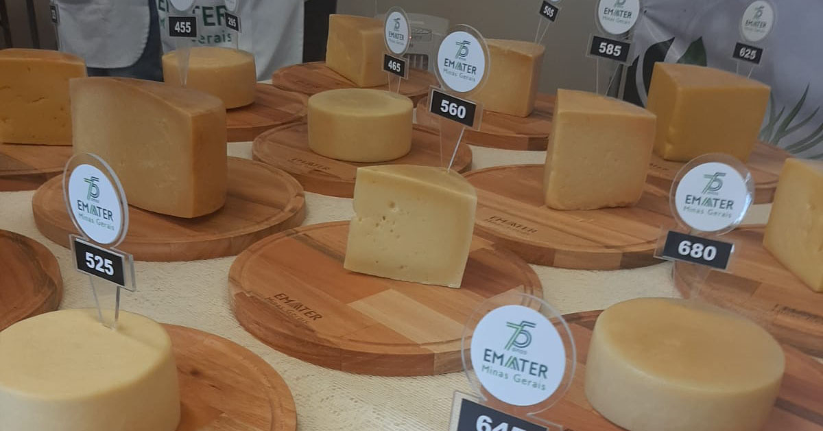 Produtor de Carrancas é campeão do Concurso Estadual do Queijo Minas Artesanal