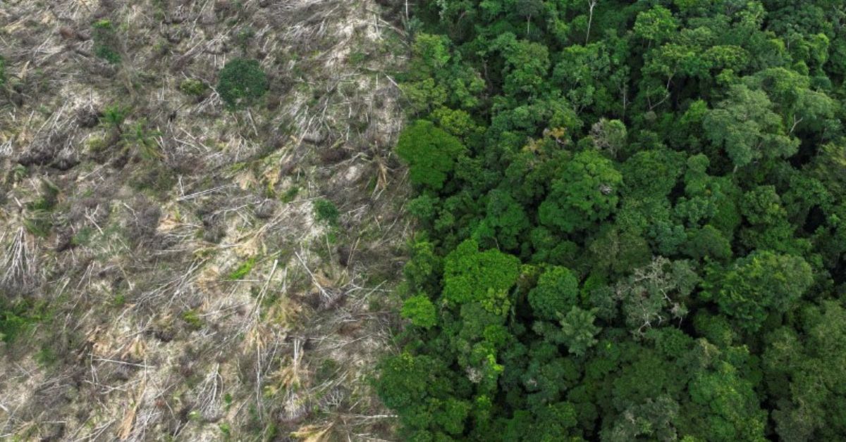 Brasil lança regras para títulos sustentáveis