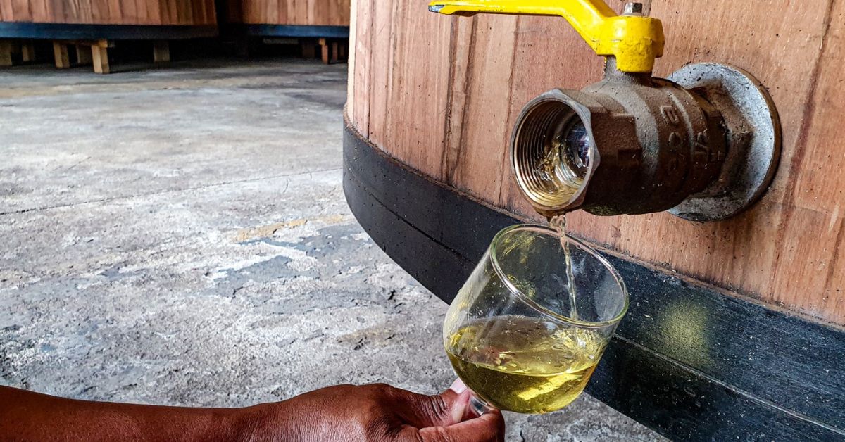 Polo de cachaça e fruticultura de base ecológica têm leis sancionadas