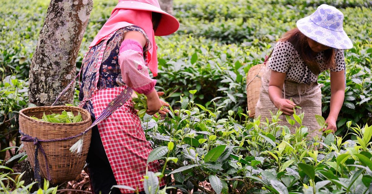 Governo institui grupo de trabalho para criar PAC da agricultura familiar