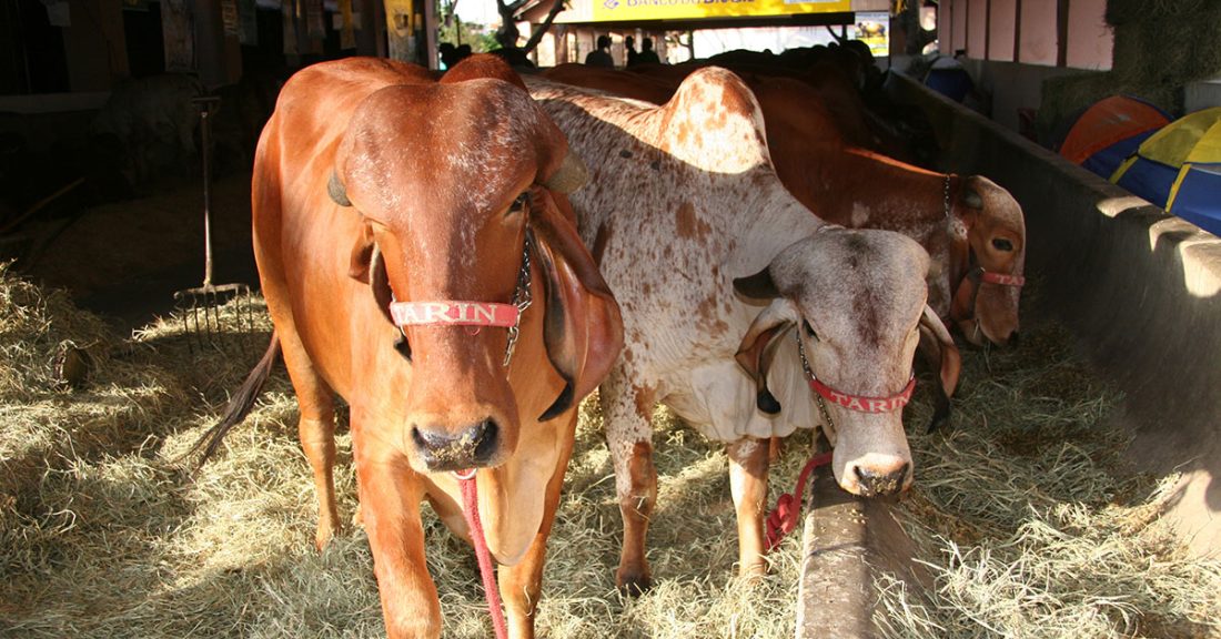 Fiemg aponta impacto de R$ 319 milhões com taxas do IMA sobre produção mineira; instituto nega valores