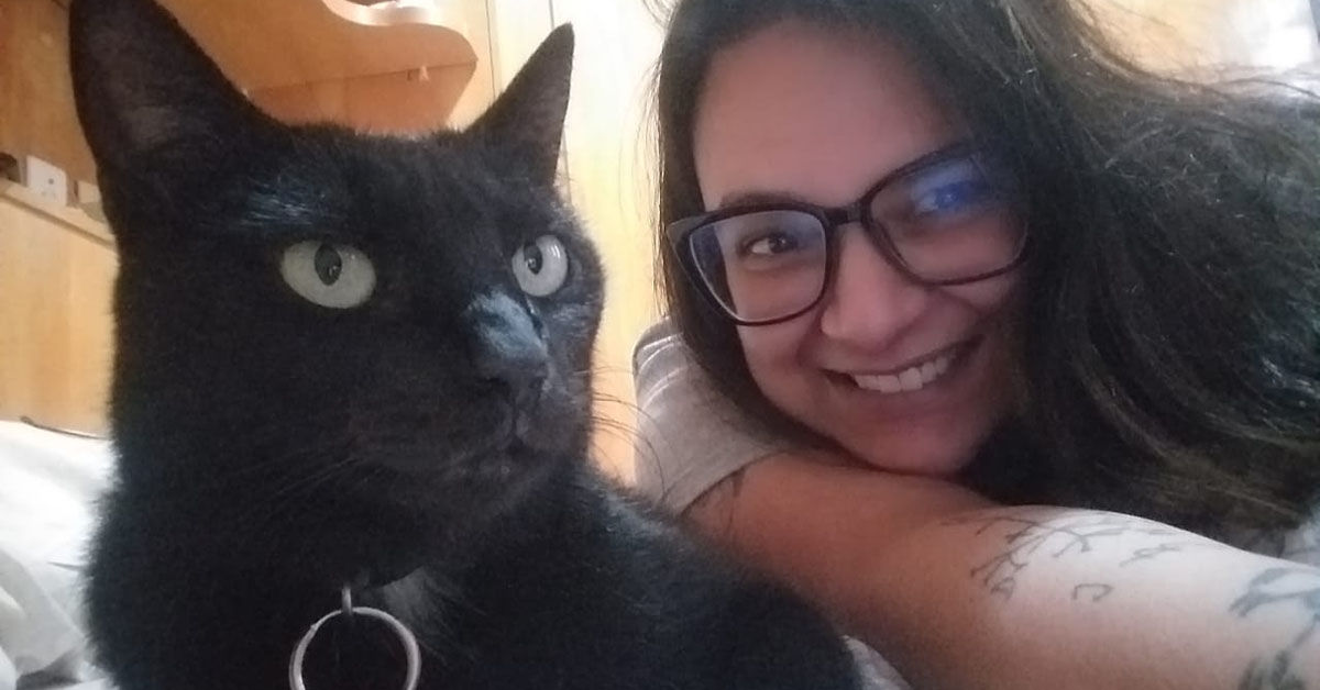 Cães e gatos de Brumadinho buscam adoção
