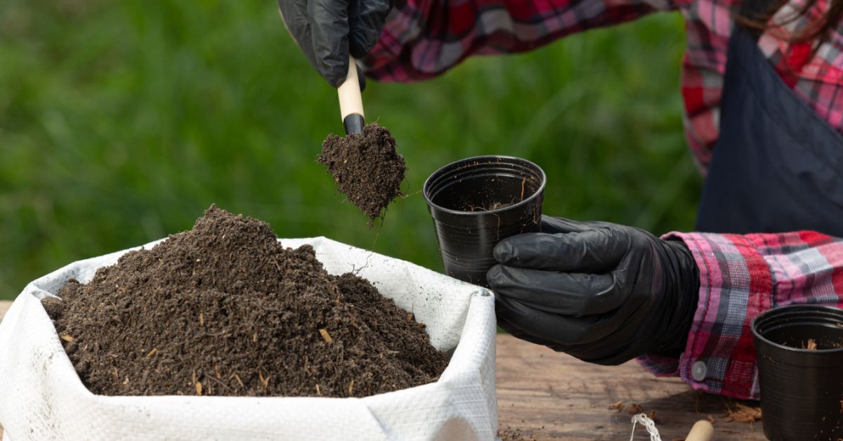 A recuperação do mercado brasileiro de fertilizantes