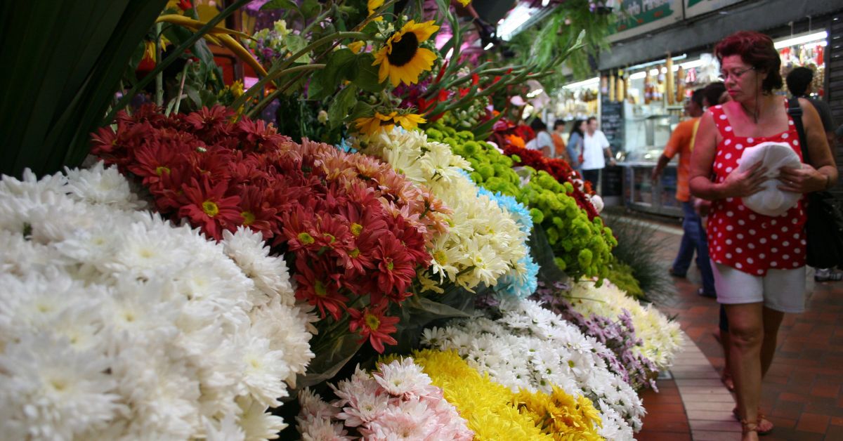Setor de flores e plantas do Estado deve crescer próximo à média nacional
