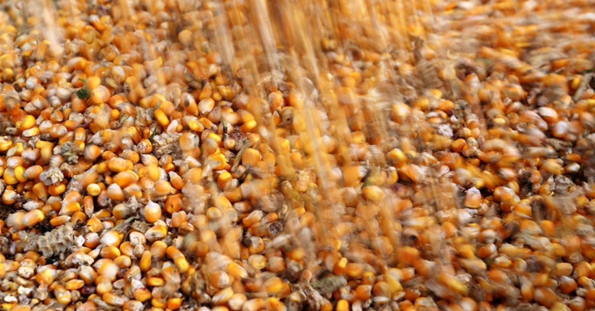 IGP-10 acelera e tem alta de 0,62% em dezembro