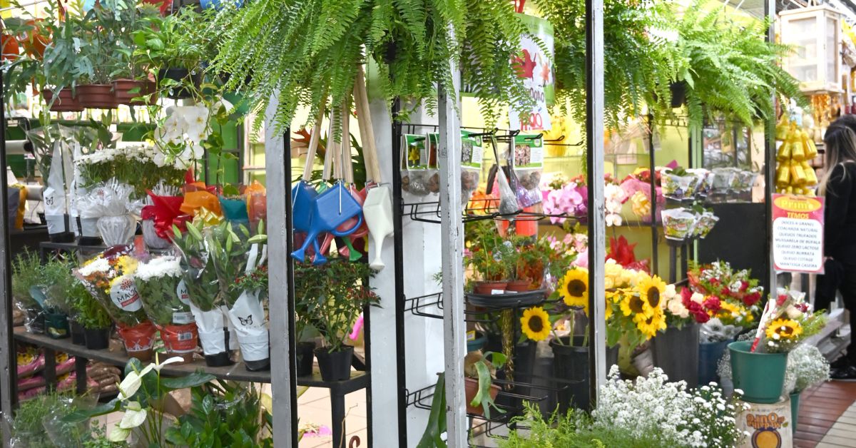 Mercado Central aposta na segunda parcela do 13º para ampliar vendas
