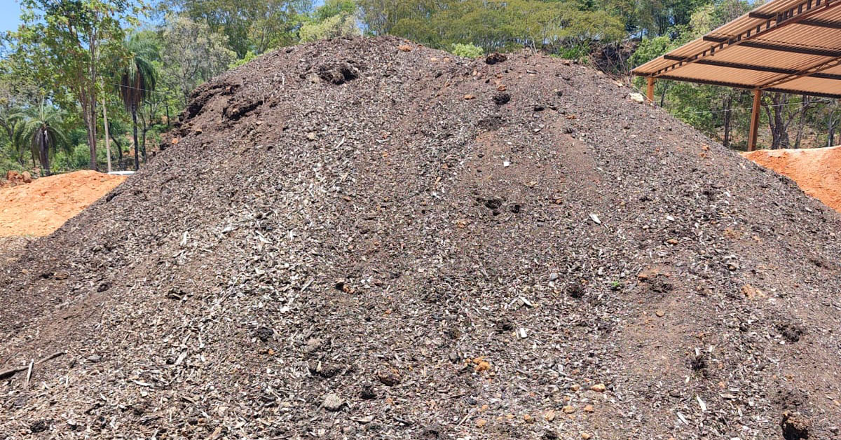 Copasa produz fertilizante orgânico com lodo de estações de tratamento