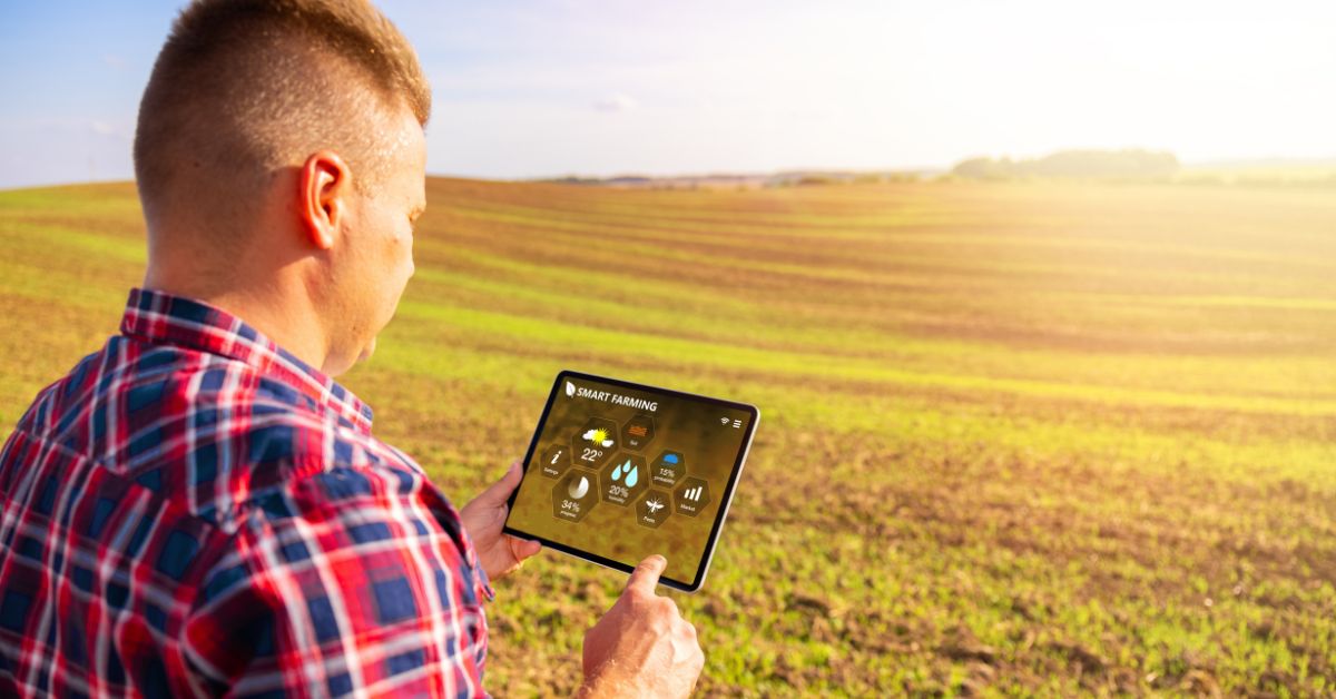 Tecnologia permite controlar fazenda a 2.000 km de distância e rastrear algodão