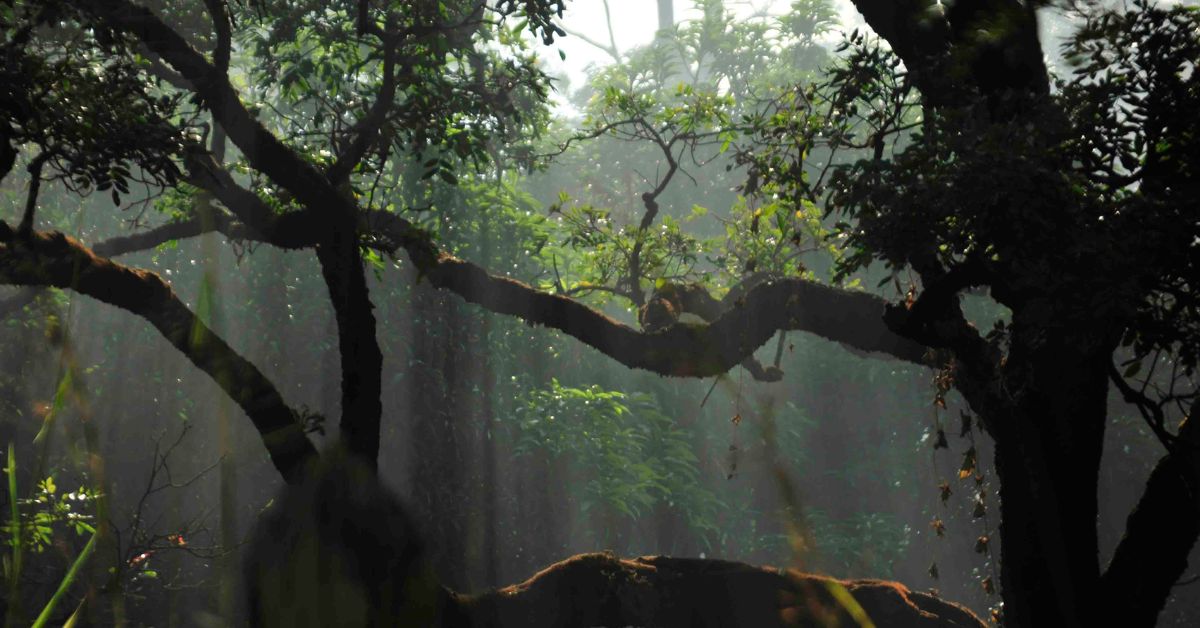 Projeto de concessão na Apa Estadual Parque Fernão Dias será apresentado a investidores