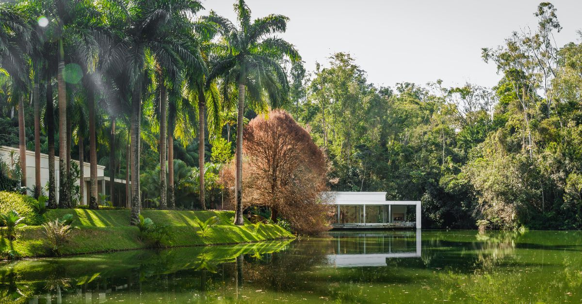 Arte para todos, quando muitas vezes, ainda é vista como um privilégio de poucos