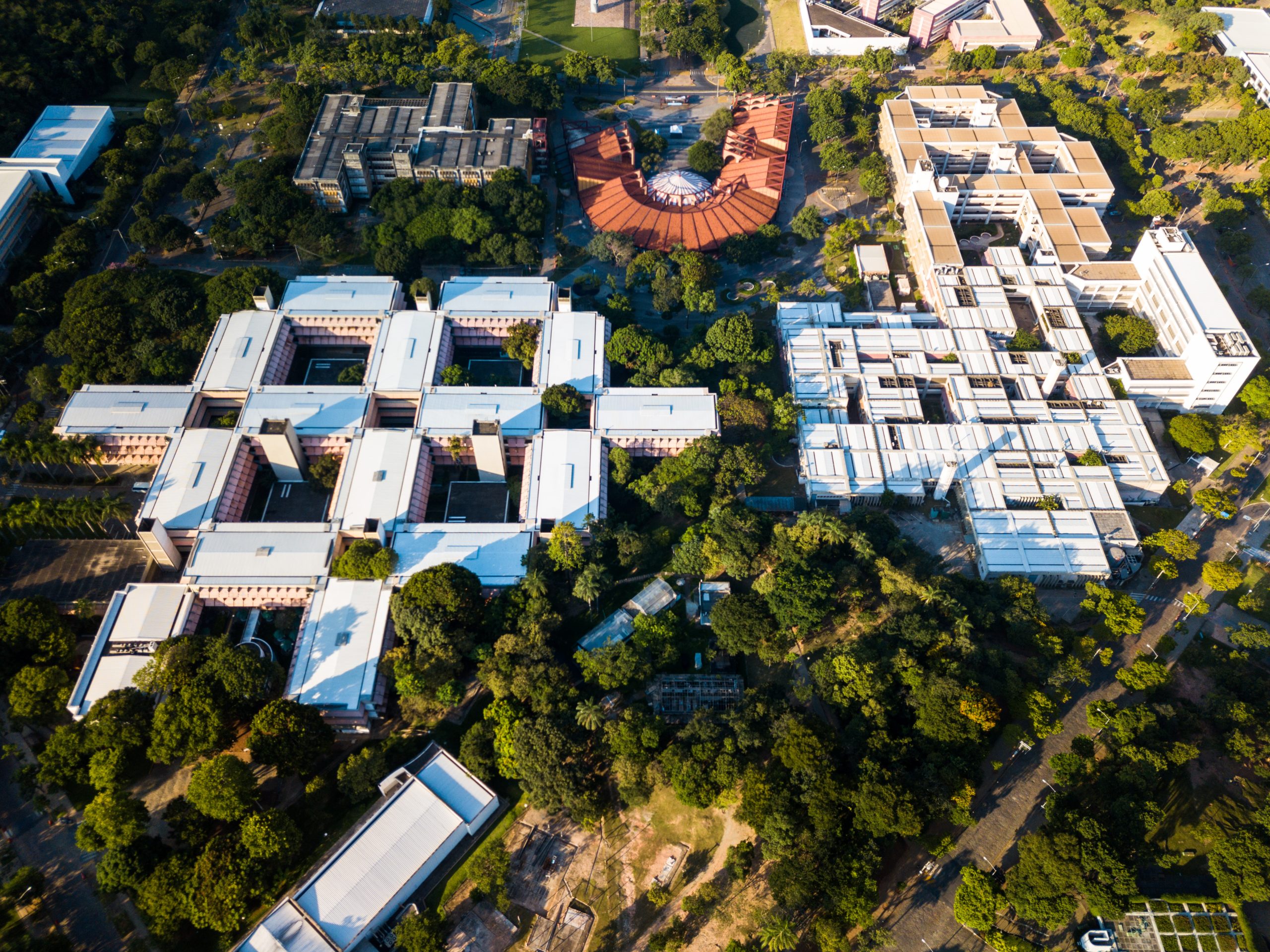 UFMG abre 5 mil vagas para curso on-line de educação inclusiva