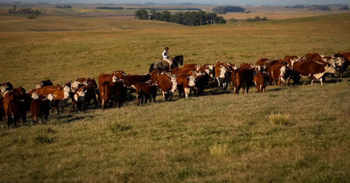 Monitor do PIB aponta crescimento de 3% da economia em 2023