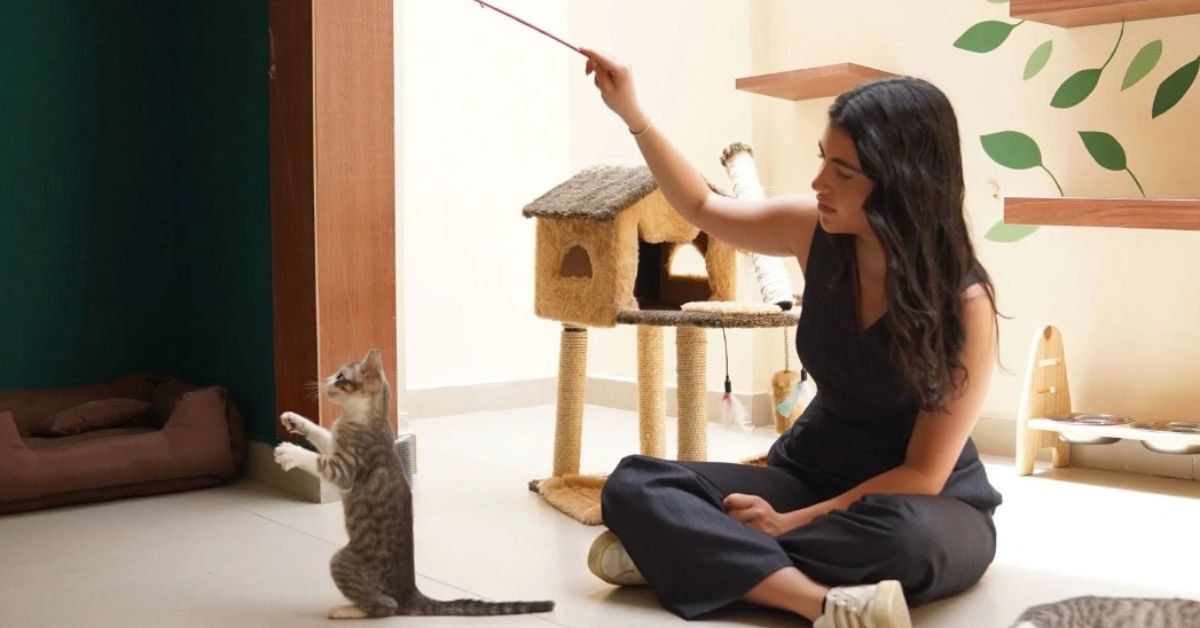 Belo Horizonte ganha cafeteria inédita para cães e gatos